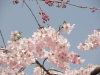 img0021.jpg