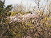 img0036.jpg