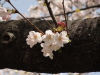 img0041.jpg