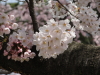 img0042.jpg
