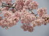 img0045.jpg