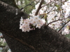 img0053.jpg