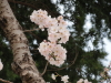 img0078.jpg