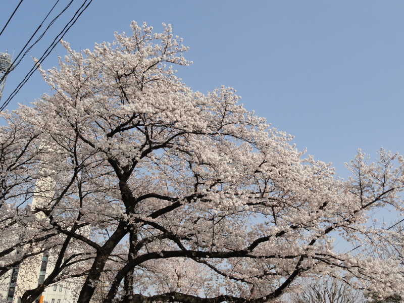 img0003.jpg