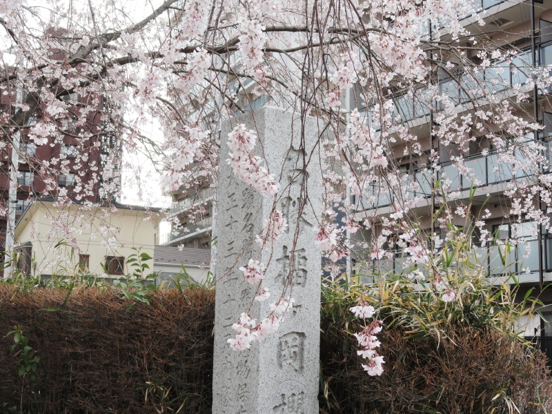 img0006.jpg