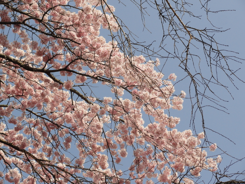 img0026.jpg