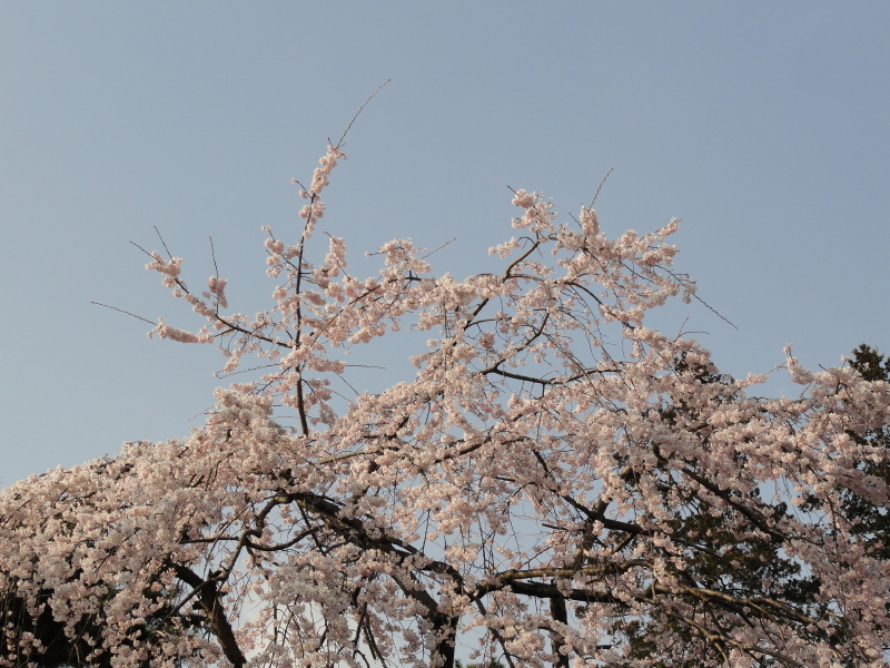 img0069.jpg