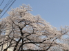 img0003.jpg