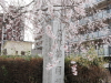 img0006.jpg