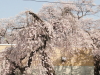 img0008.jpg