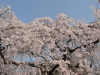 img0012.jpg