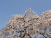 img0013.jpg