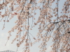 img0014.jpg