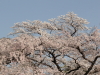 img0017.jpg