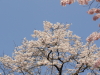 img0020.jpg