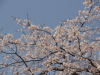 img0021.jpg
