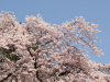 img0024.jpg