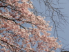 img0026.jpg
