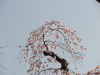 img0029.jpg