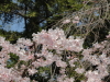 img0030.jpg