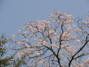 img0031.jpg