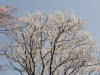 img0032.jpg