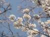 img0035.jpg
