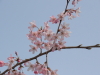 img0044.jpg