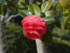 img0048.jpg