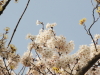 img0057.jpg
