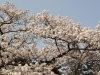 img0062.jpg