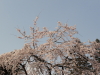 img0069.jpg
