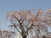 img0078.jpg