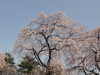 img0079.jpg