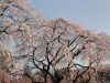 img0080.jpg