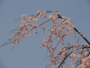 img0083.jpg
