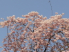 img0084.jpg
