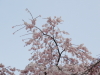 img0089.jpg