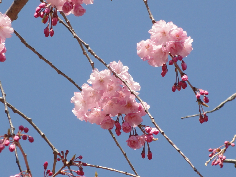 img0031.jpg