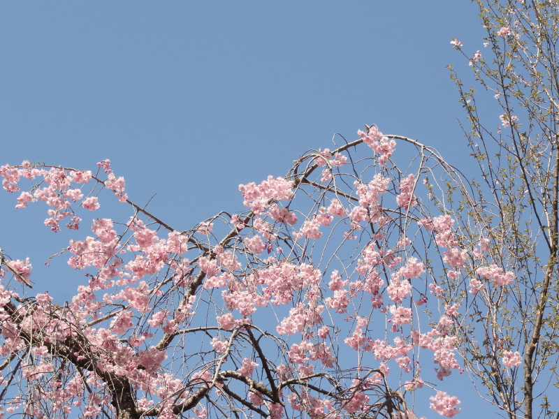 img0086.jpg