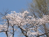 img0001.jpg