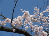 img0003.jpg