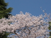 img0005.jpg