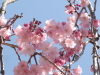 img0024.jpg