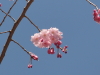 img0030.jpg