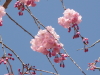 img0031.jpg