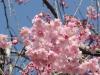 img0032.jpg