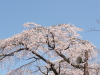 img0036.jpg