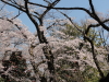 img0039.jpg