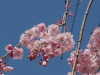 img0049.jpg